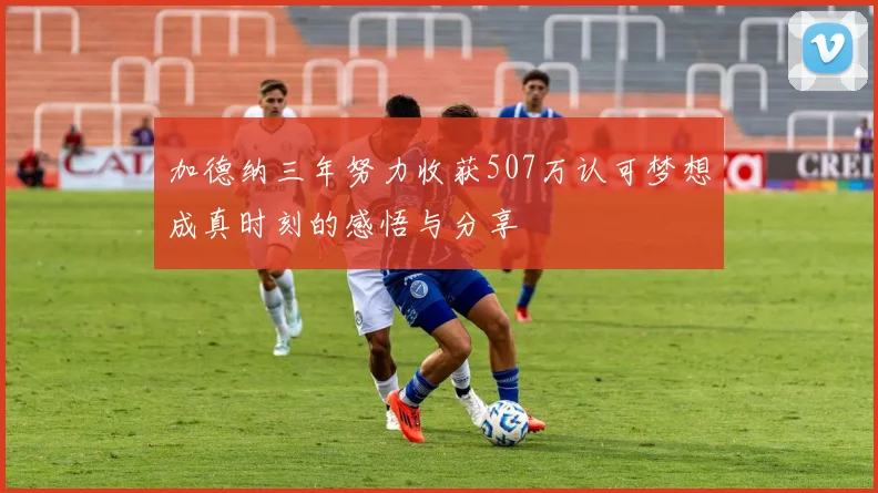加德纳三年努力收获507万认可梦想成真时刻的感悟与分享