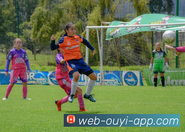 欧亿体育APP 封面图